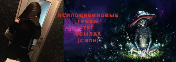 прущие крисы Арсеньев