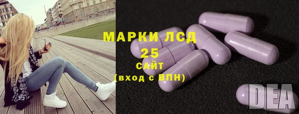 прущие крисы Арсеньев